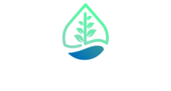 Island Hydration IV